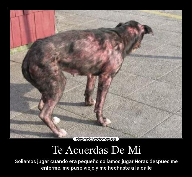 Te Acuerdas De Mí -