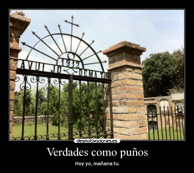 Verdades como puños - 