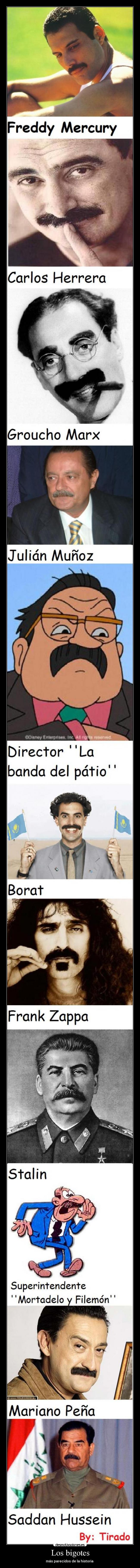 Los bigotes - más parecidos de la historia