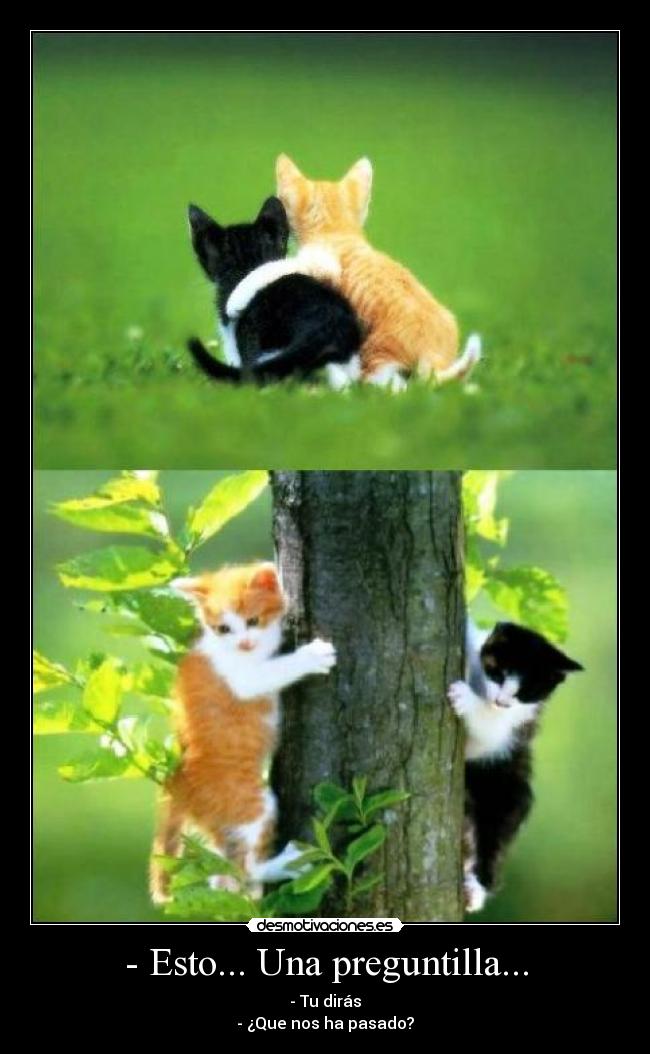 - Esto... Una preguntilla... - 