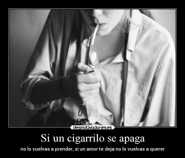 carteles suele pasar desmotivaciones