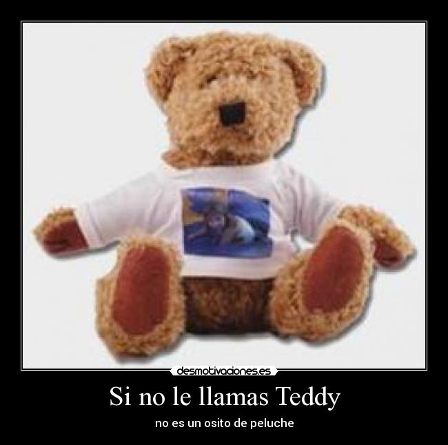 Si no le llamas Teddy - no es un osito de peluche