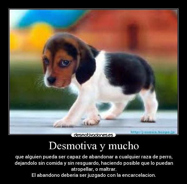 carteles abandono desmotivaciones