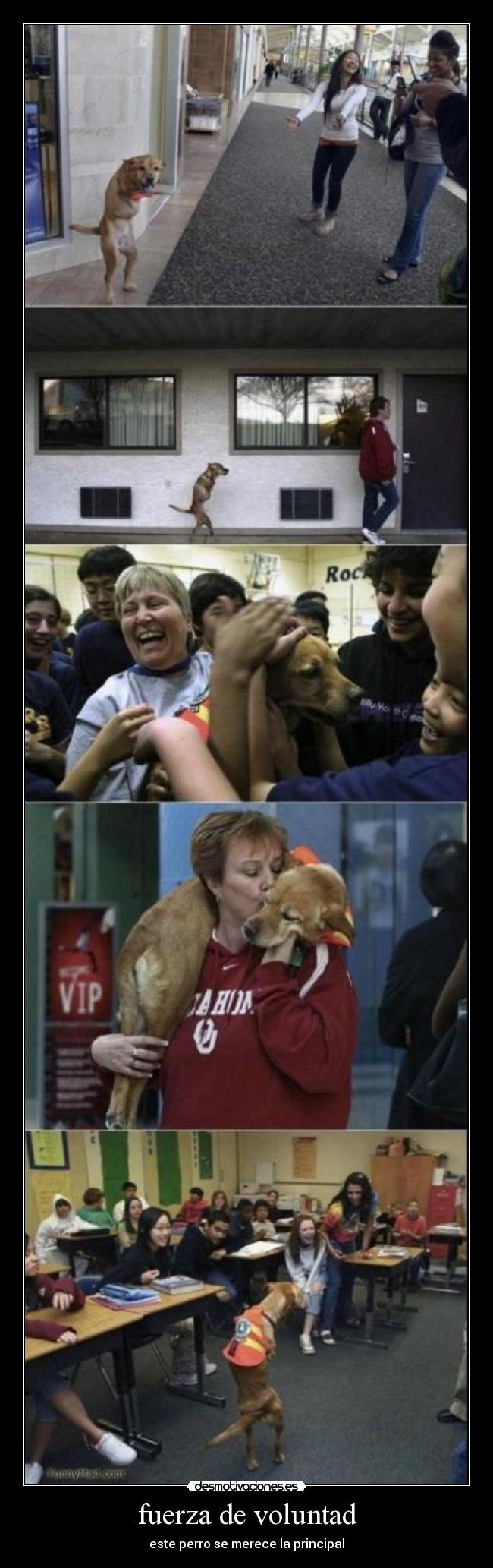 fuerza de voluntad - 