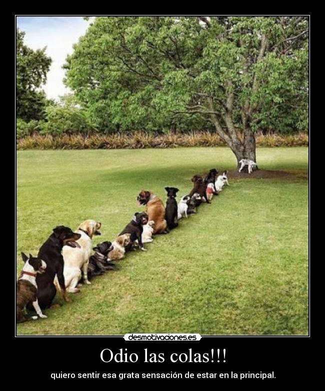 Odio las colas!!! - quiero sentir esa grata sensación de estar en la principal.