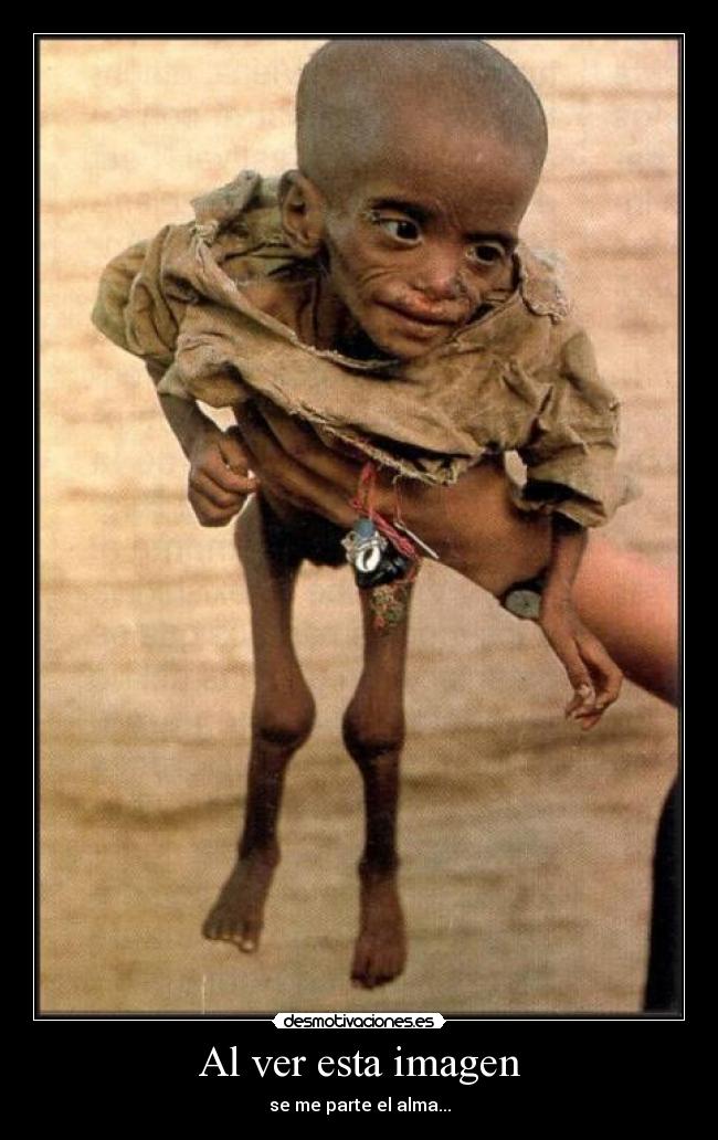 Al ver esta imagen - se me parte el alma...