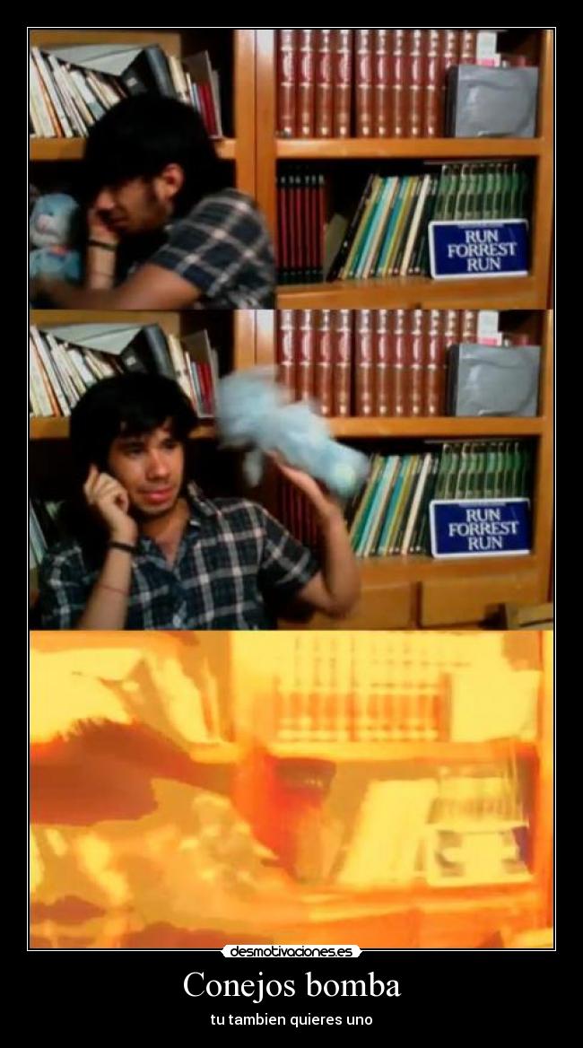 Conejos bomba -