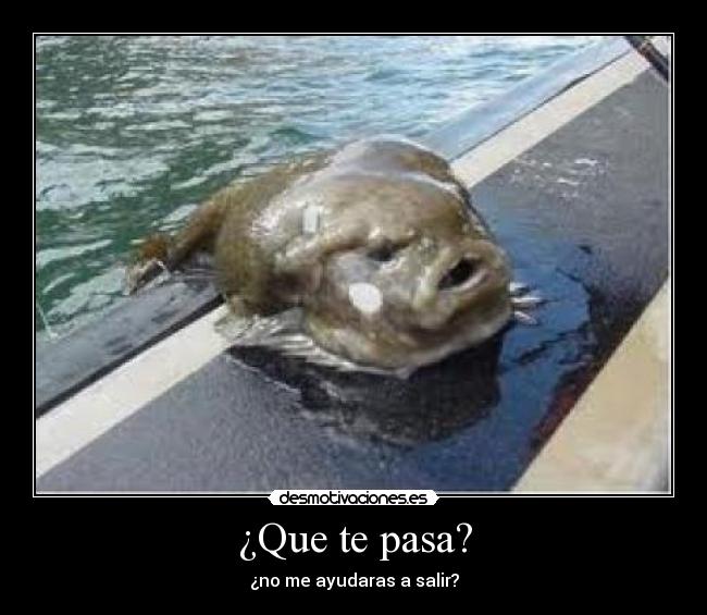 ¿Que te pasa? - ¿no me ayudaras a salir?