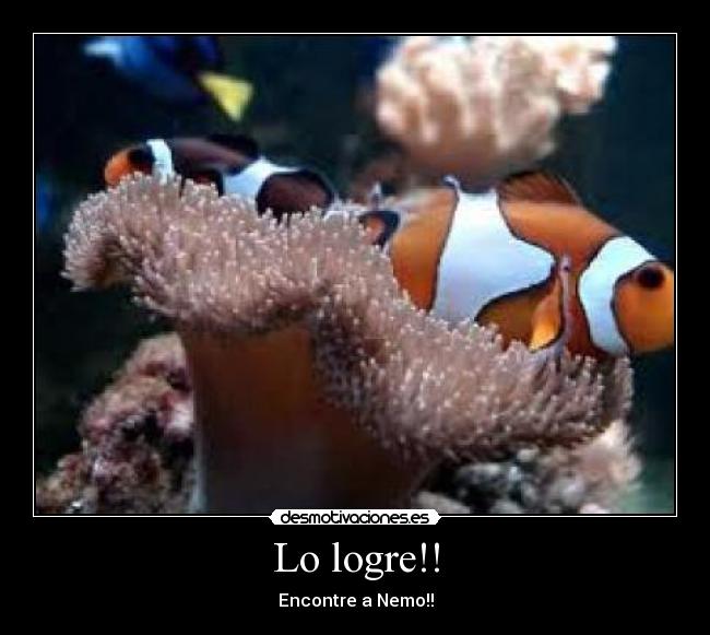 Lo logre!! - Encontre a Nemo!!
