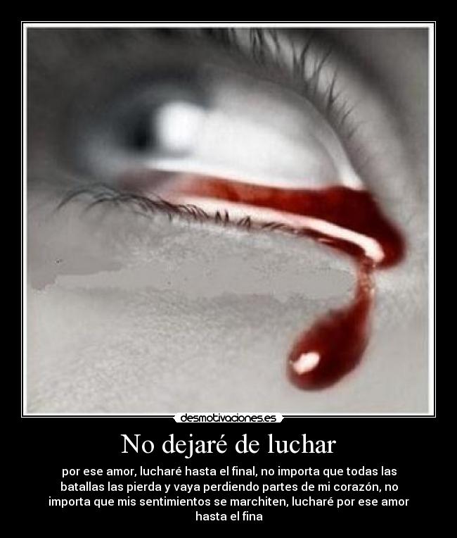 No dejaré de luchar -