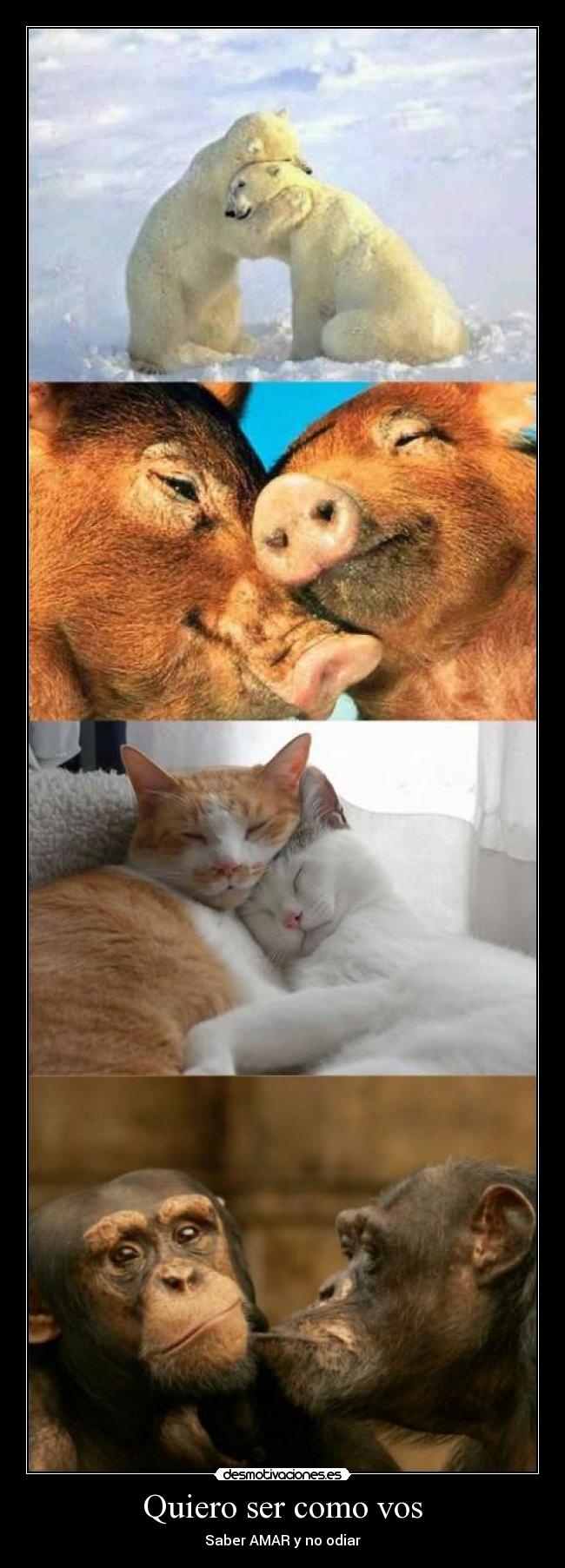 Quiero ser como vos - Saber AMAR y no odiar