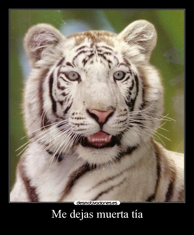 Me dejas muerta tía -