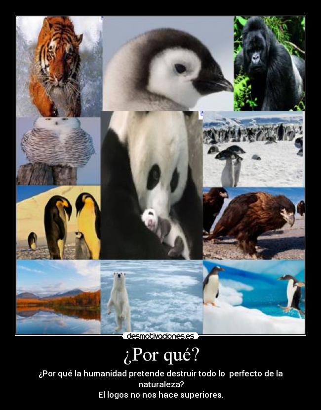 ¿Por qué? - ¿Por qué la humanidad pretende destruir todo lo  perfecto de la naturaleza?
El logos no nos hace superiores.