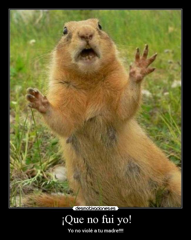 carteles ardilla desmotivaciones