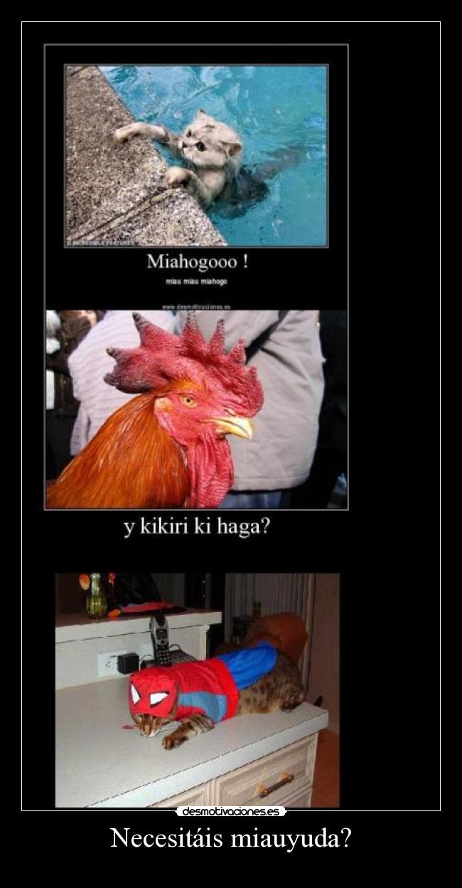 Necesitáis miauyuda? - 
