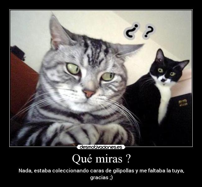 Qué miras ? - Nada, estaba coleccionando caras de gilipollas y me faltaba la tuya, gracias ;)