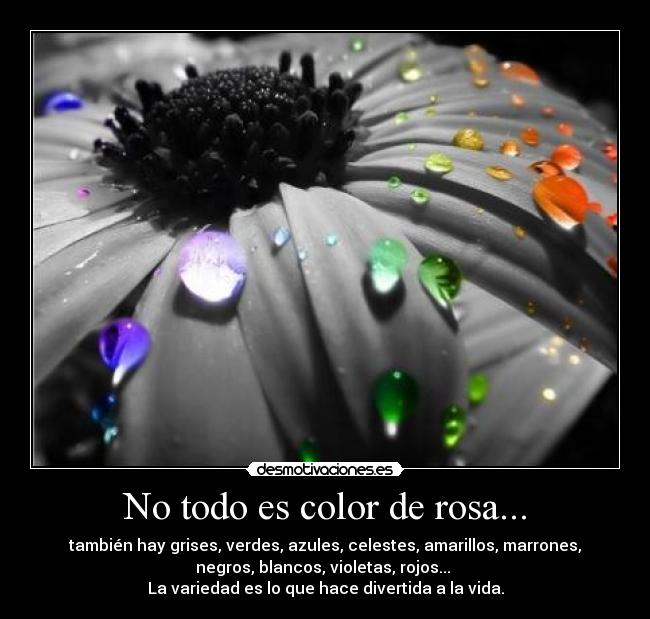 No todo es color de rosa... - también hay grises, verdes, azules, celestes, amarillos, marrones,
negros, blancos, violetas, rojos... 
La variedad es lo que hace divertida a la vida.