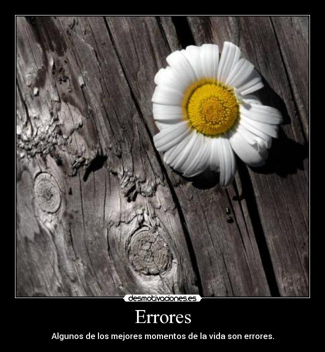 Errores -