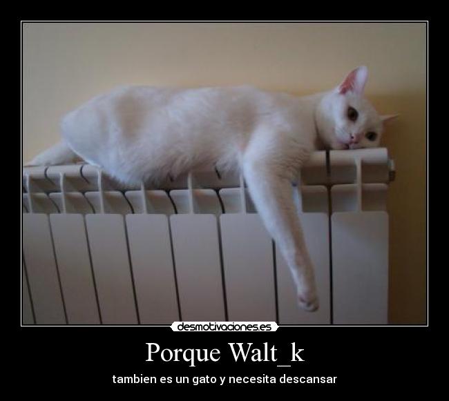 carteles tambien gatosy necesita descansar desmotivaciones
