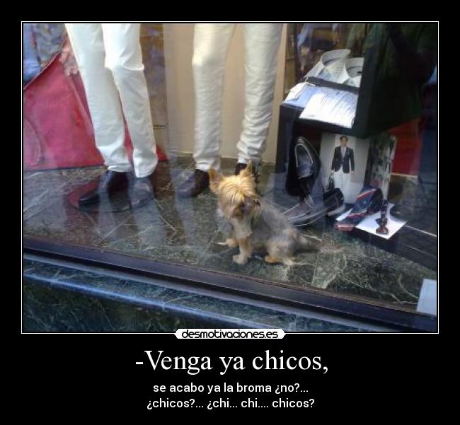 -Venga ya chicos, - se acabo ya la broma ¿no?...
¿chicos?... ¿chi... chi.... chicos?