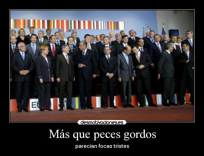 Más que peces gordos - parecían focas tristes