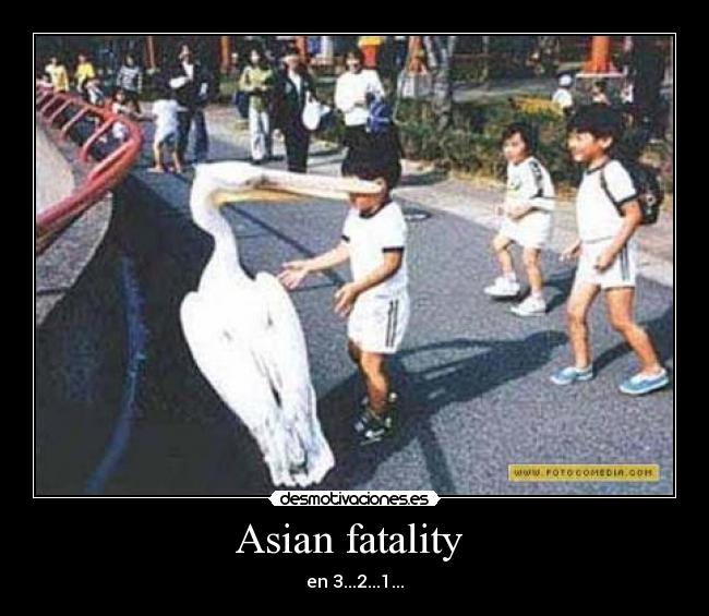 Asian fatality - en 3...2...1...