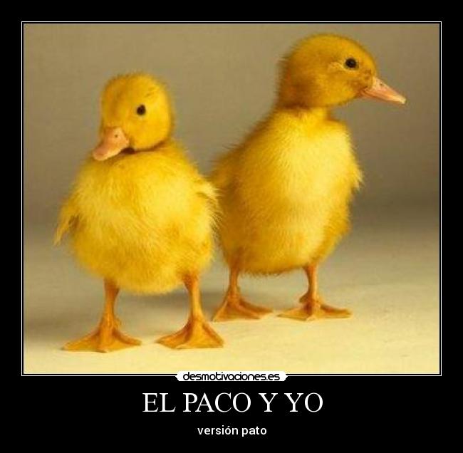 EL PACO Y YO -