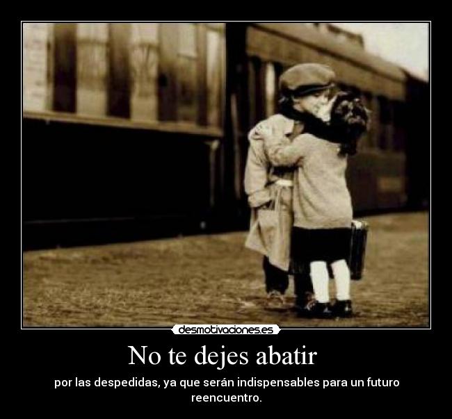 No te dejes abatir -