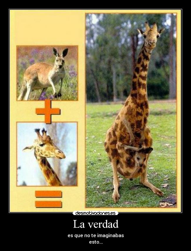 La verdad - es que no te imaginabas
esto...