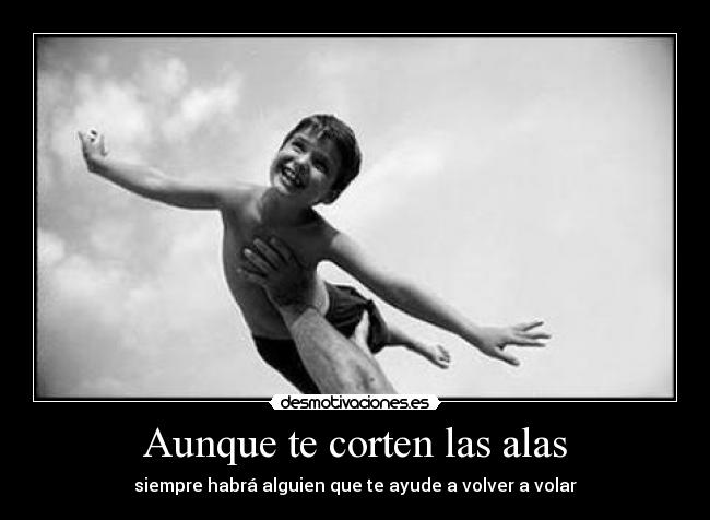 Aunque te corten las alas - siempre habrá alguien que te ayude a volver a volar