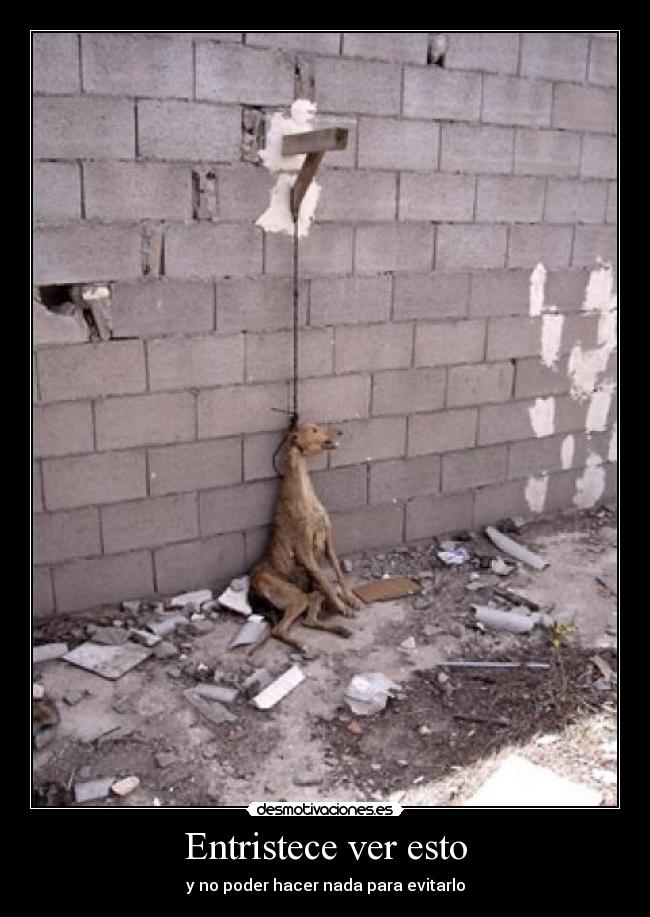 Entristece ver esto -