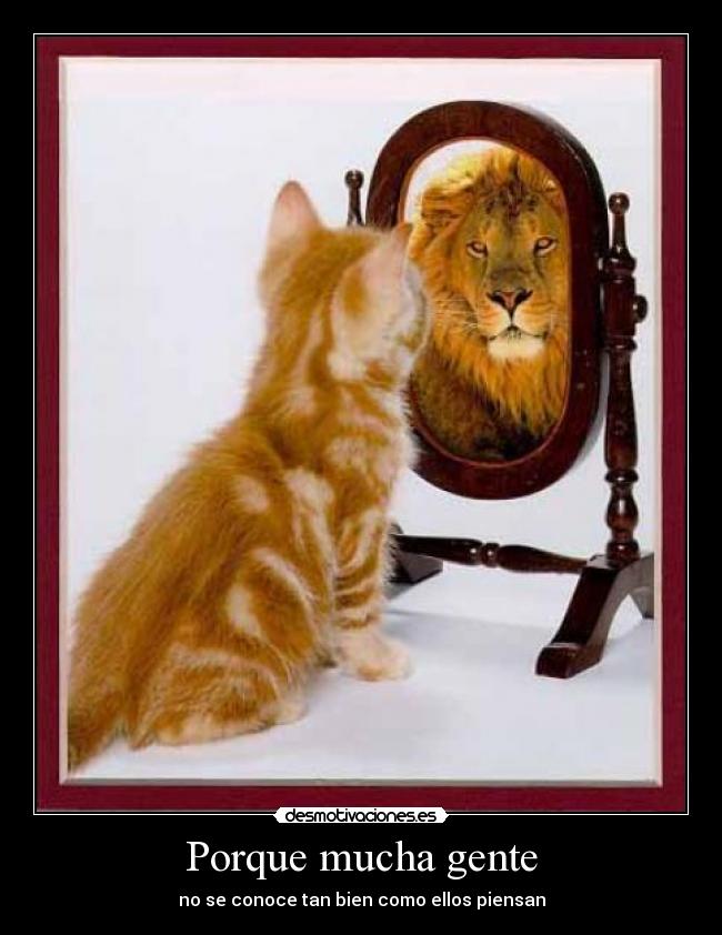 Porque mucha gente - 