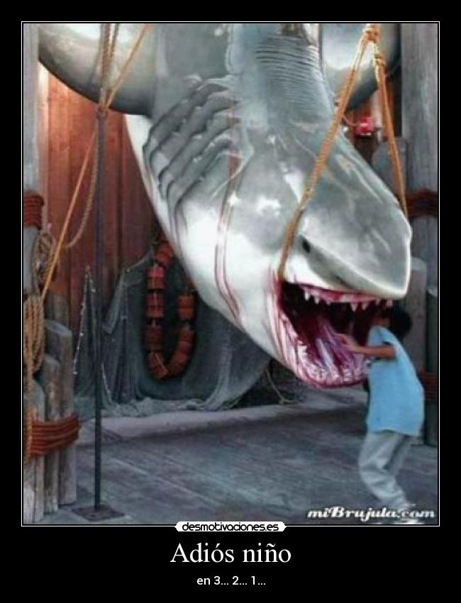 Adiós niño - en 3... 2... 1...