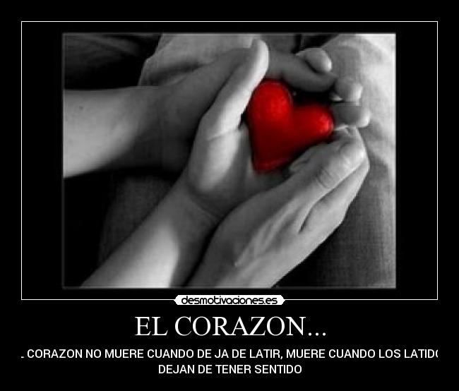 EL CORAZON... - EL CORAZON NO MUERE CUANDO DE JA DE LATIR, MUERE CUANDO LOS LATIDOS
DEJAN DE TENER SENTIDO