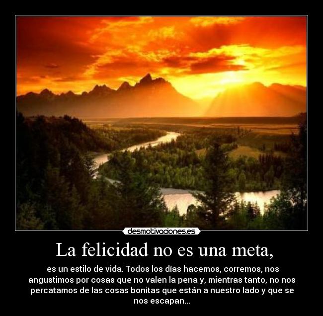 La felicidad no es una meta, -