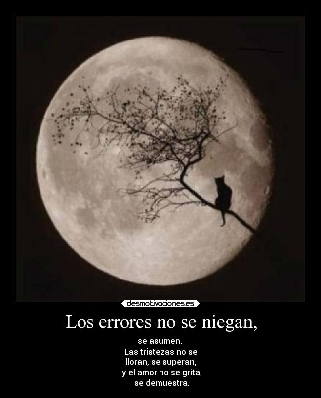 Los errores no se niegan, - se asumen. 
Las tristezas no se
lloran, se superan,
 y el amor no se grita,
 se demuestra.