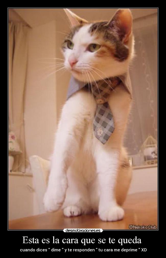 Esta es la cara que se te queda - cuando dices dime y te responden tu cara me deprime XD