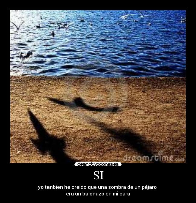SI - yo tanbien he creido que una sombra de un pájaro
era un balonazo en mi cara