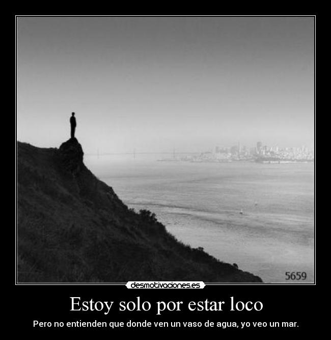 Estoy solo por estar loco -