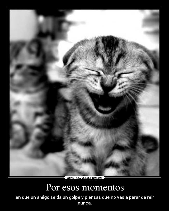 Por esos momentos - en que un amigo se da un golpe y piensas que no vas a parar de reír nunca.