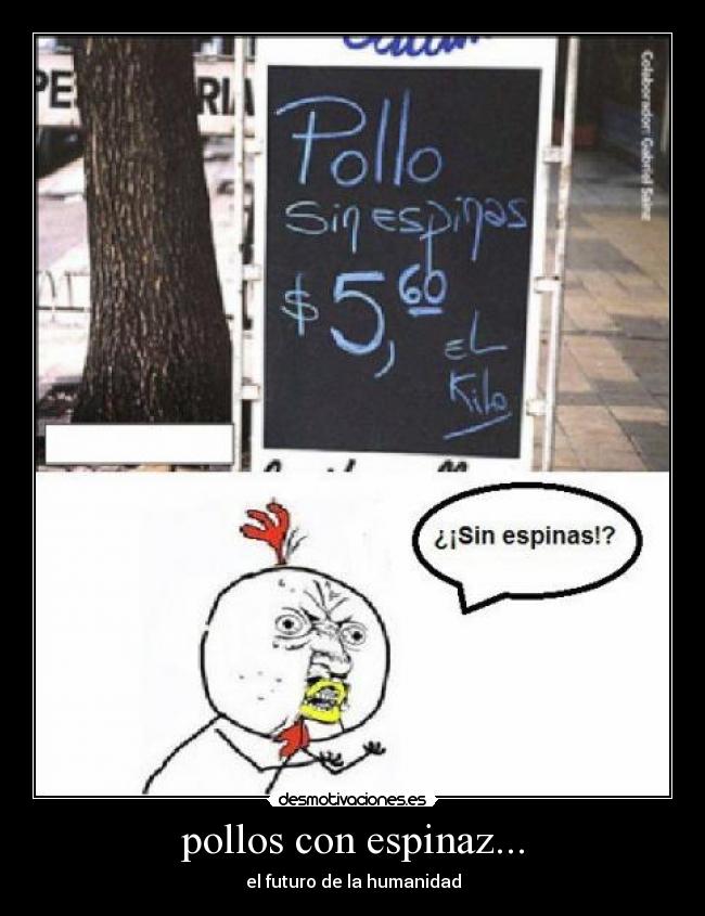 pollos con espinaz... - 