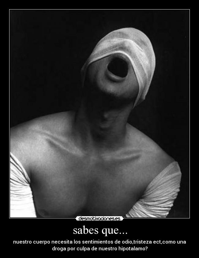 sabes que... -