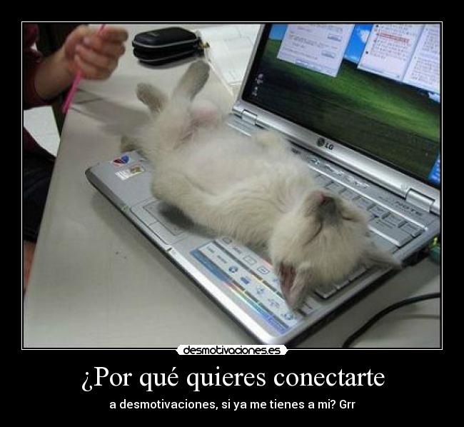 ¿Por qué quieres conectarte - a desmotivaciones, si ya me tienes a mi? Grr