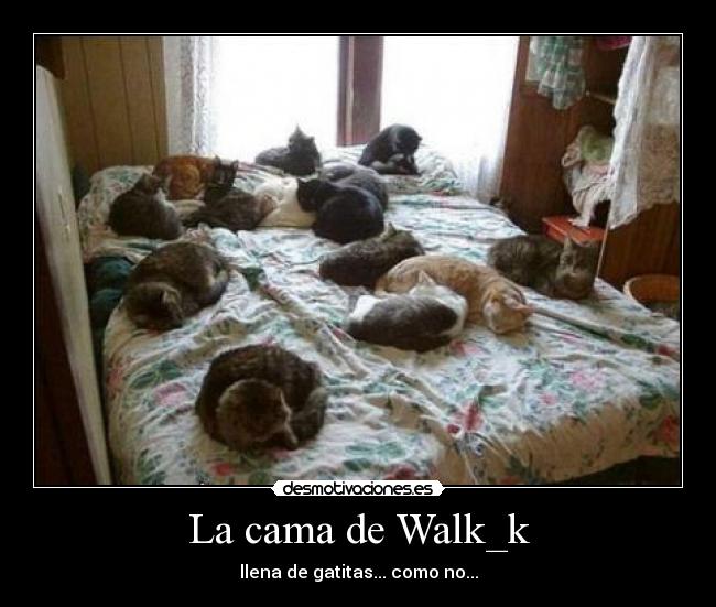 La cama de Walk_k - 