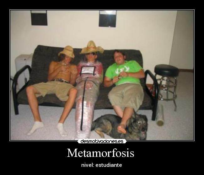 Metamorfosis - nivel: estudiante