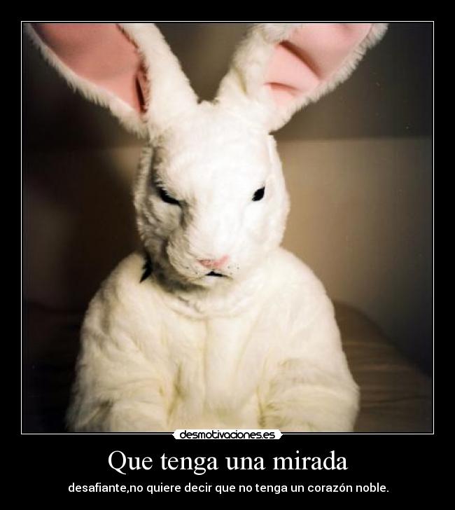 Que tenga una mirada - 