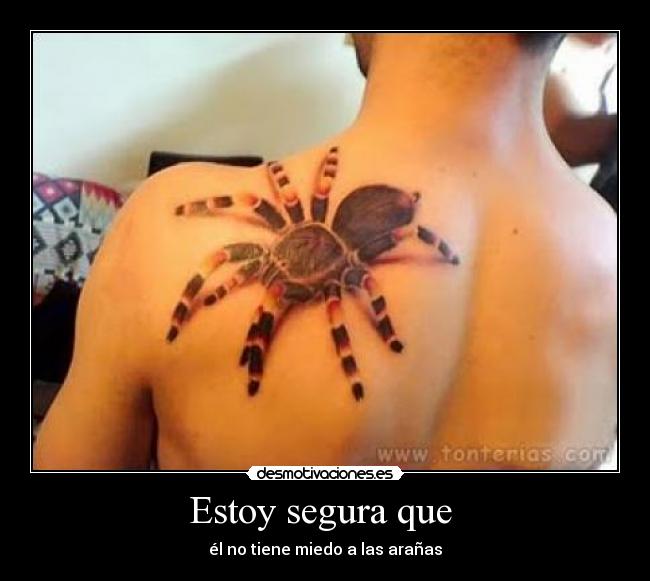 Estoy segura que  - él no tiene miedo a las arañas