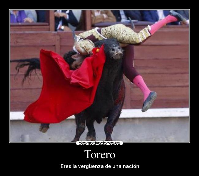 Torero - 