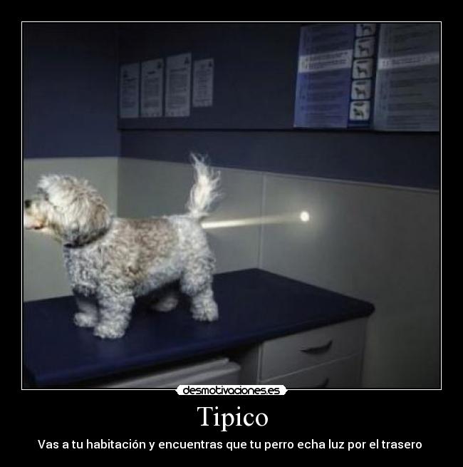 Tipico - 