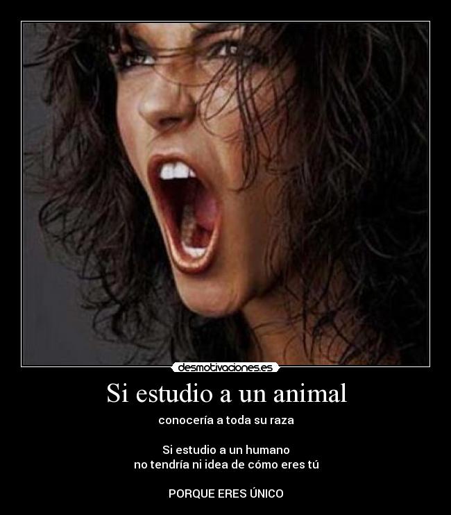 Si estudio a un animal -